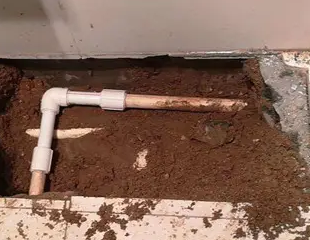 盐都测漏水哪家好