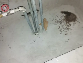 盐都卫生间测漏水价格明细