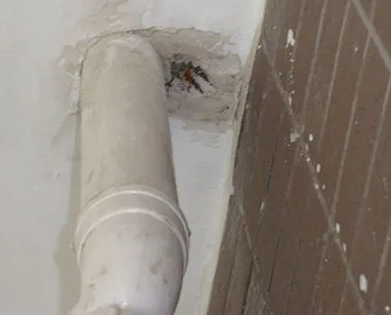 盐都漏水检测哪家好